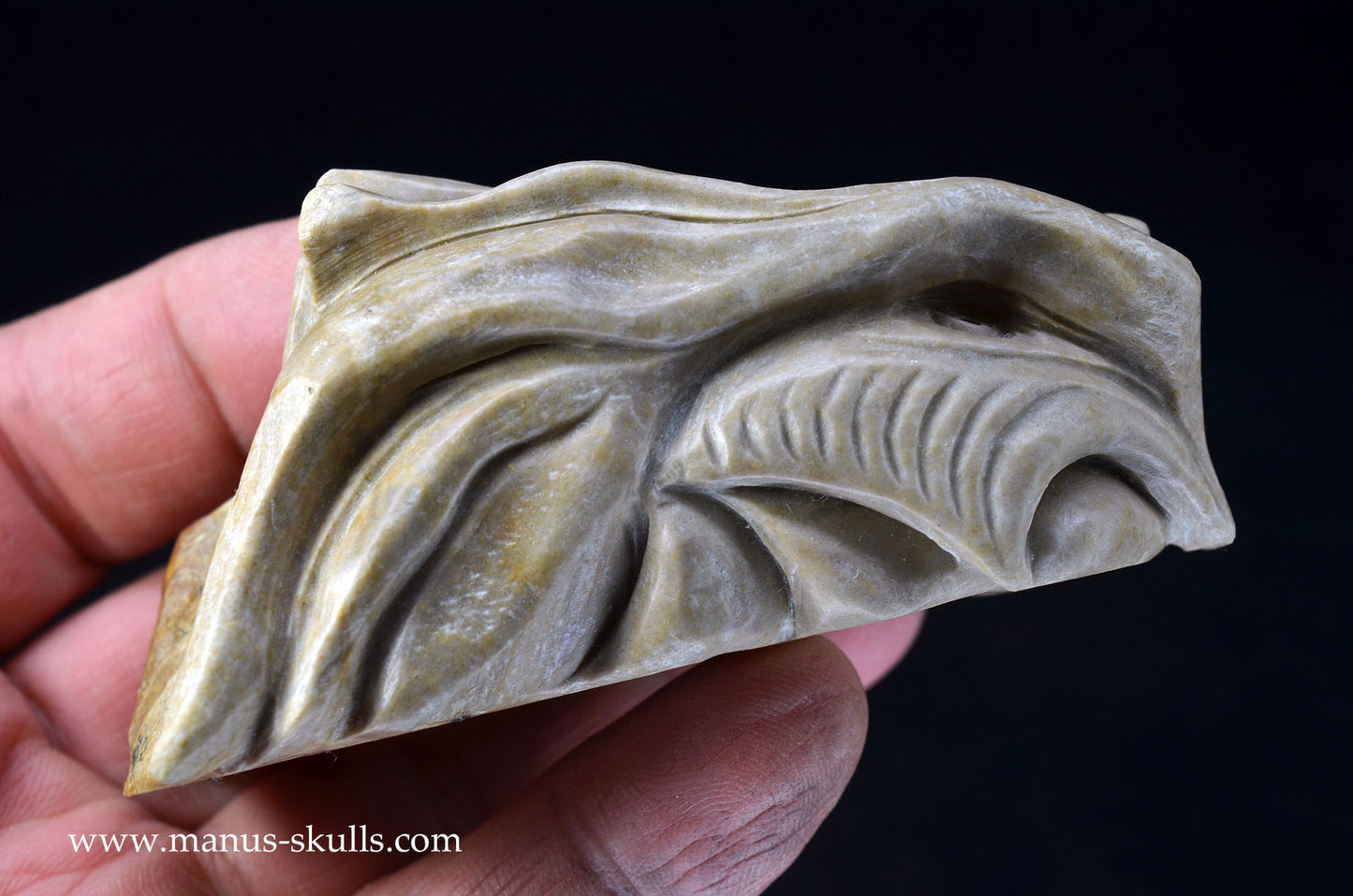 Feminine SARSENS STONE Fish Dragon. (Stonehenge Stone)