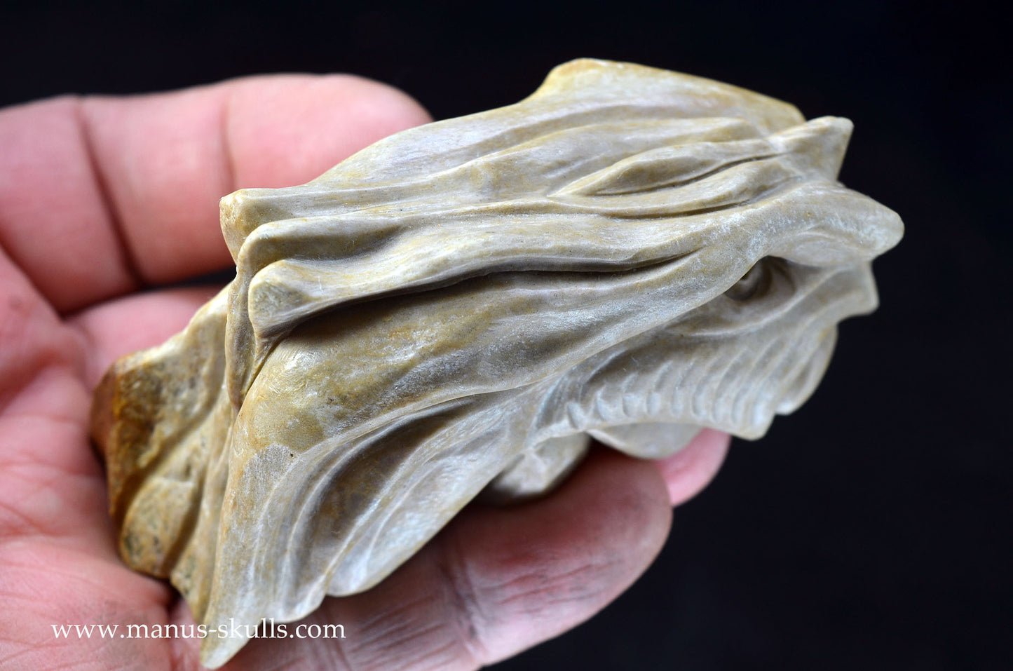 Feminine SARSENS STONE Fish Dragon. (Stonehenge Stone)