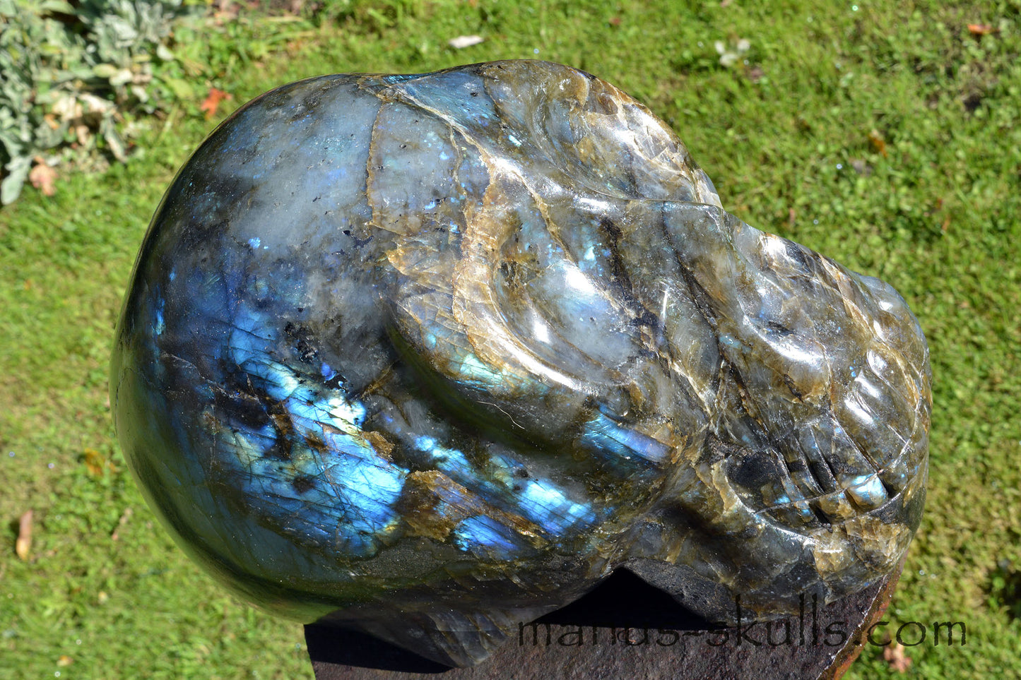 Large Labradorite Skull (9,3 KG)