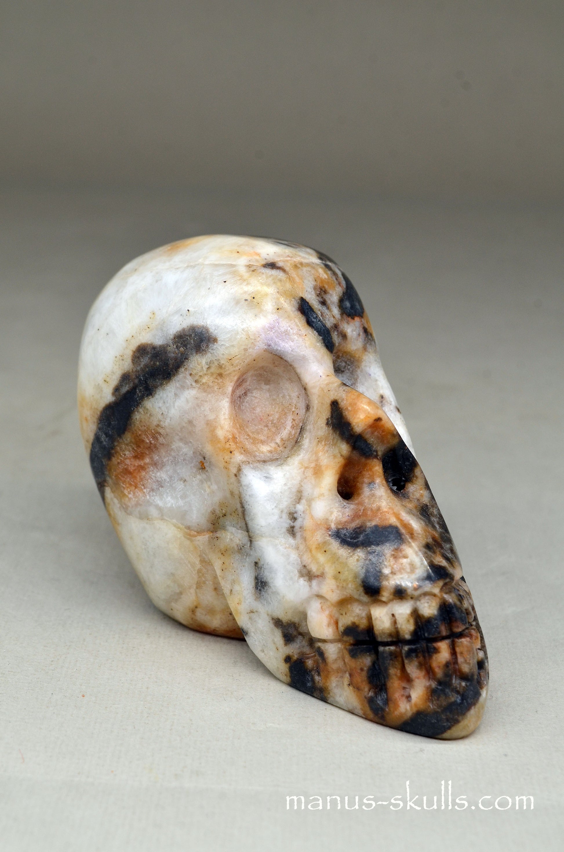 Zebra Agate Manus Skull