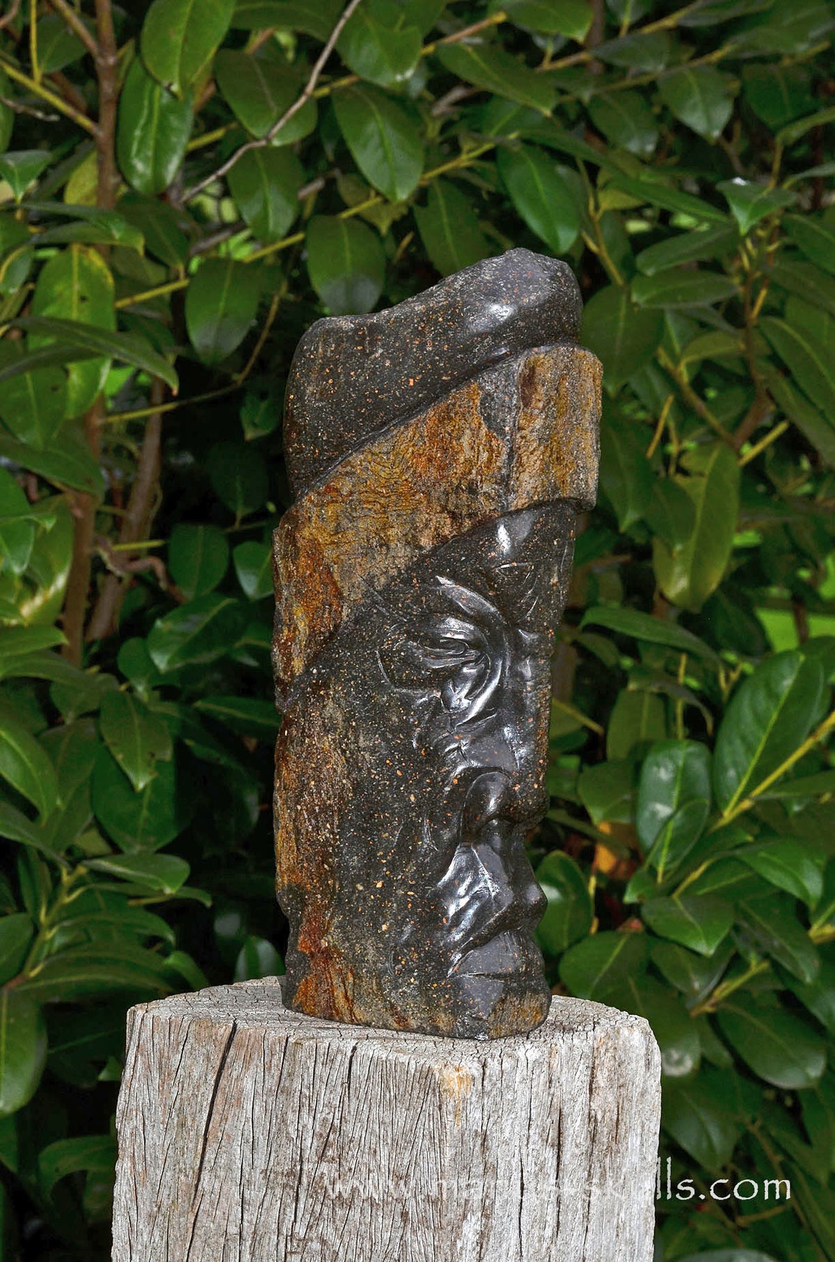 Basalt Tribal Elder (#97)
