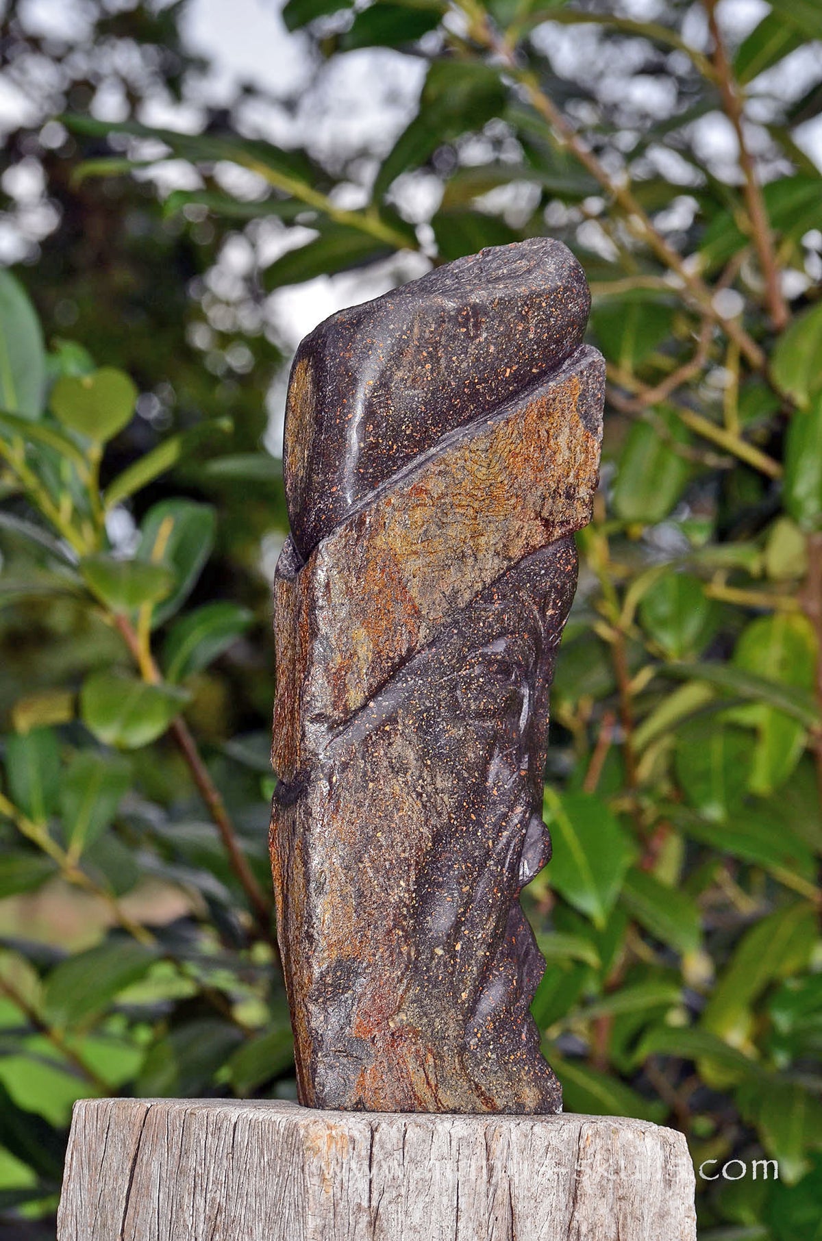 Basalt Tribal Elder (#97)