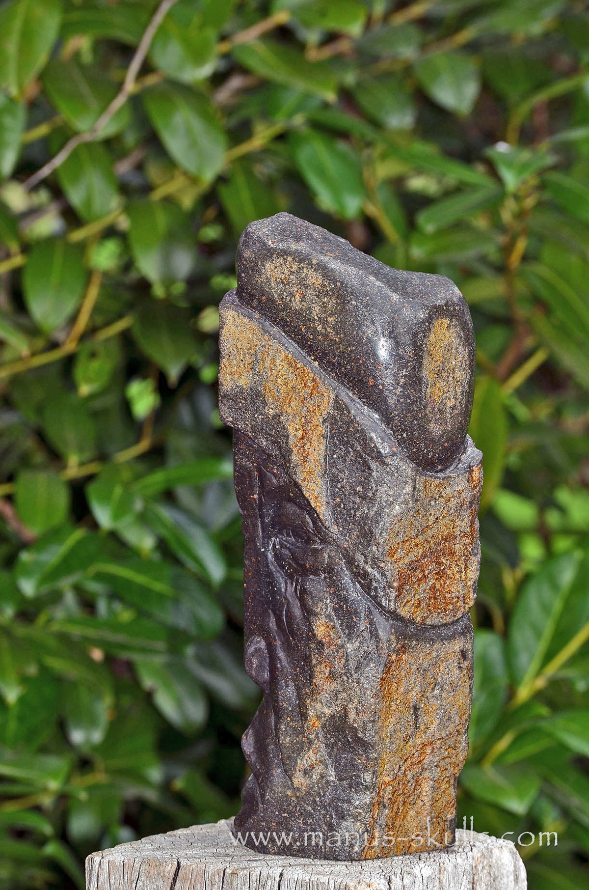 Basalt Tribal Elder (#97)