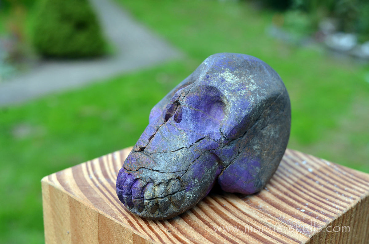 Purpurite Skull