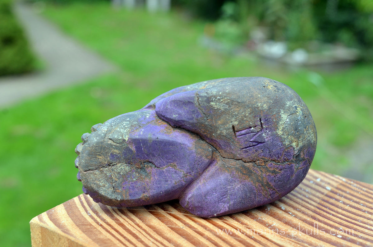 Purpurite Skull