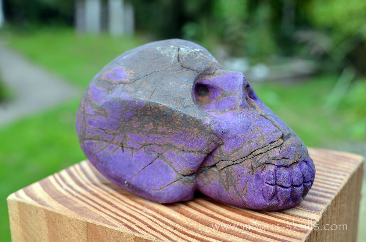 Purpurite Skull