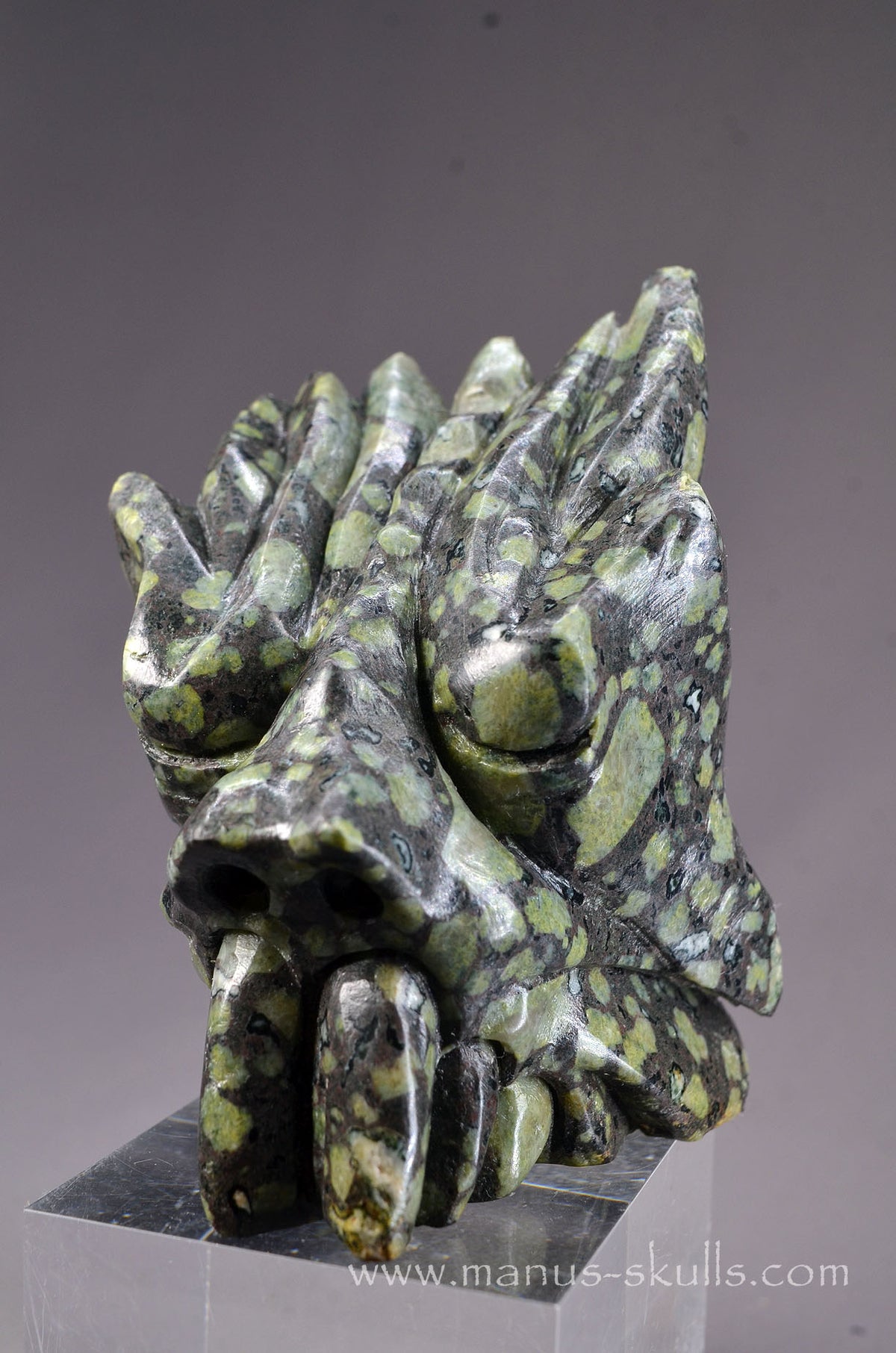 Lakelandite Dragon