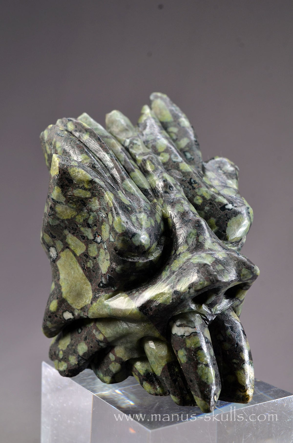Lakelandite Dragon