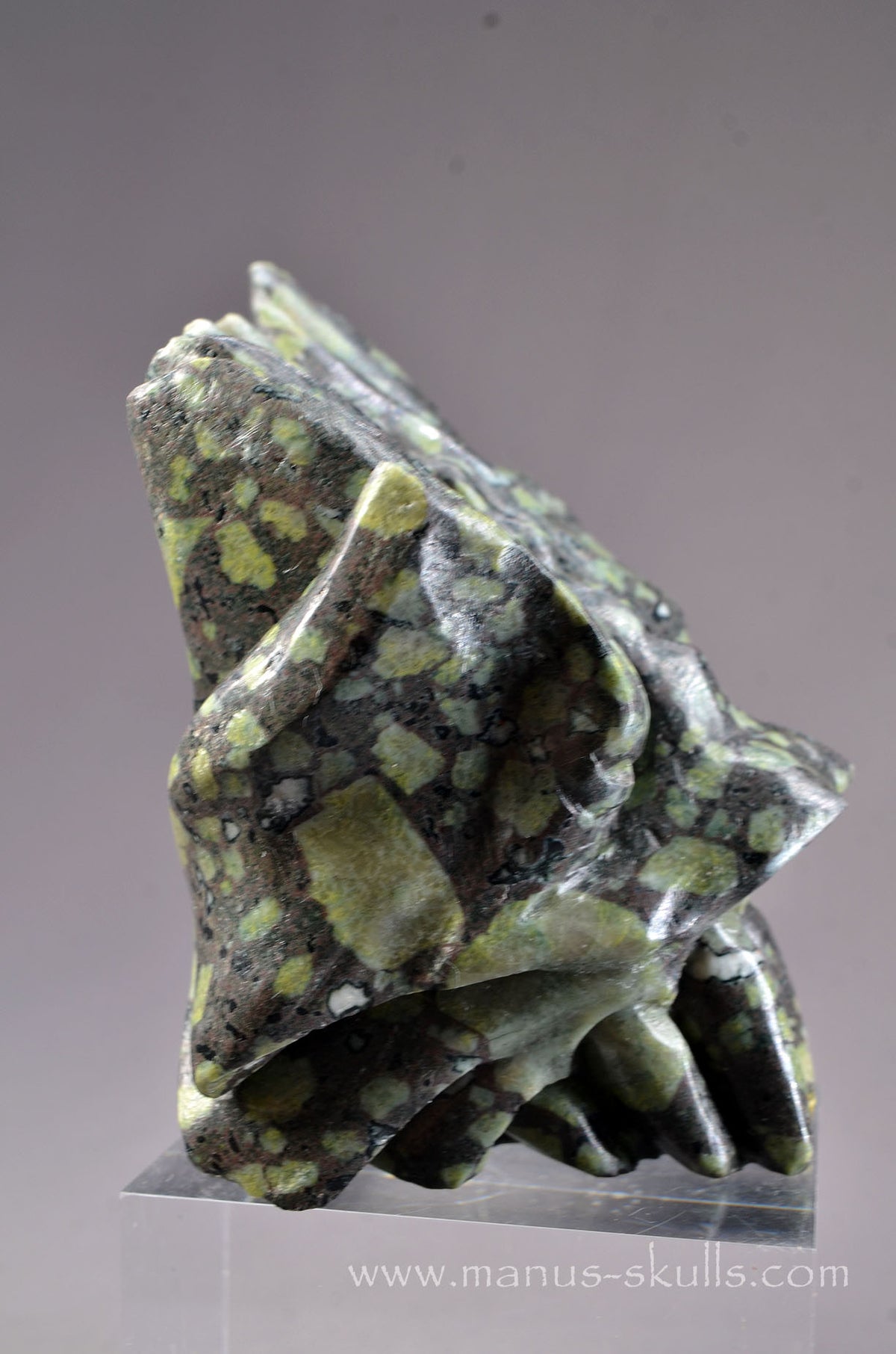 Lakelandite Dragon
