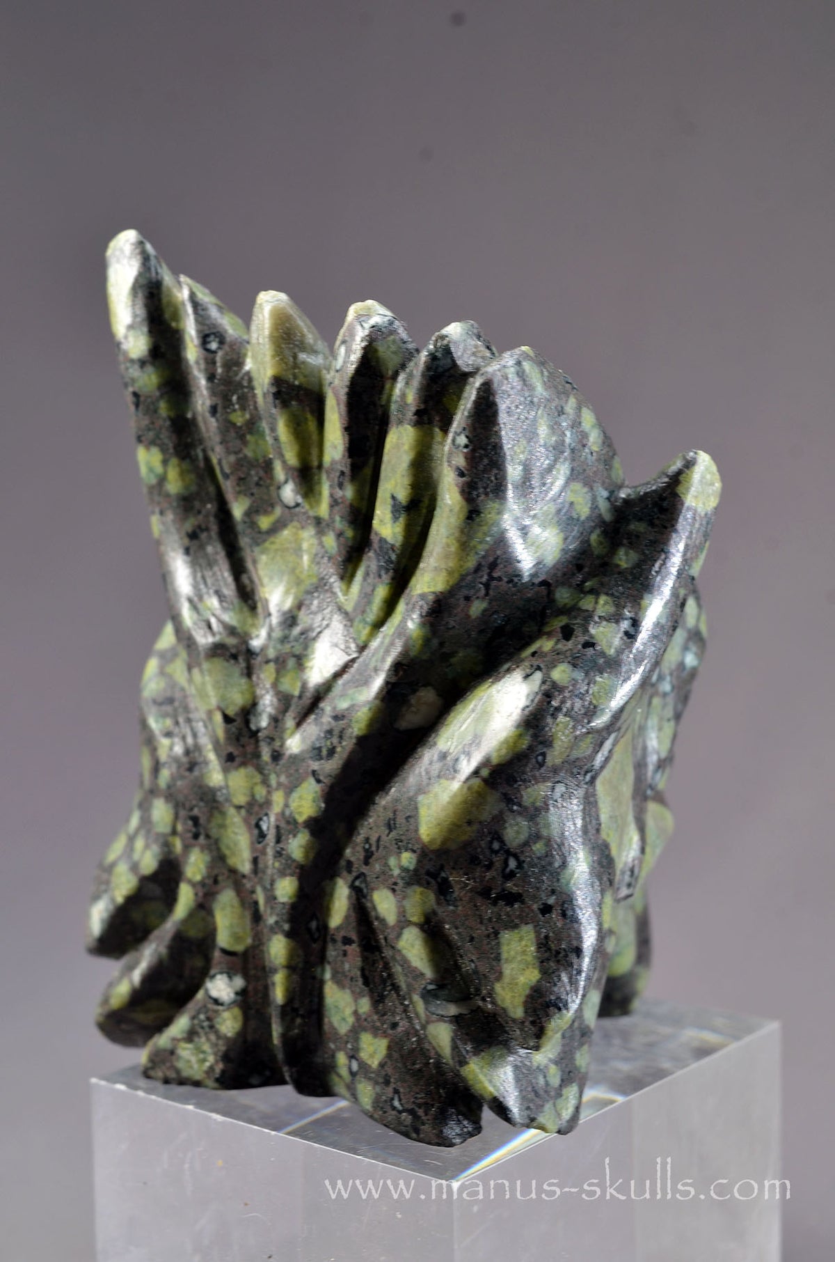 Lakelandite Dragon
