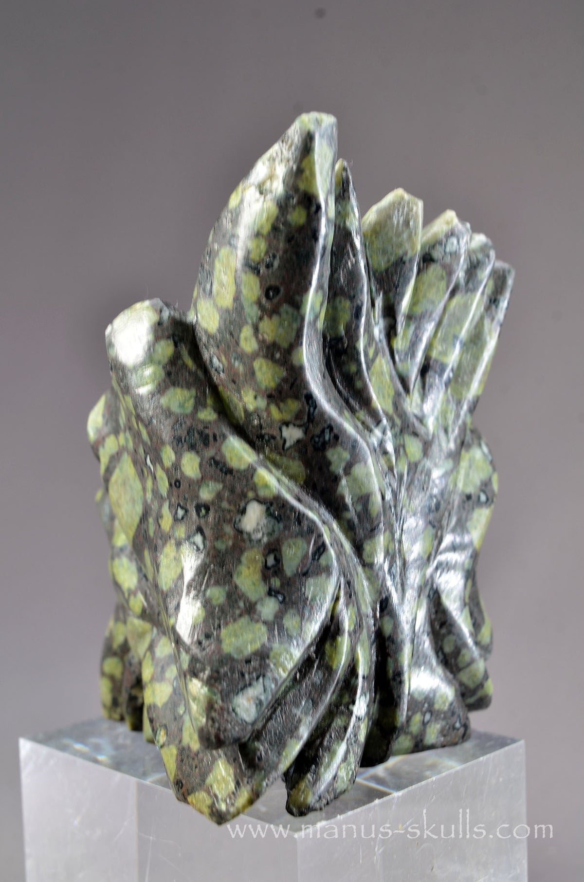 Lakelandite Dragon