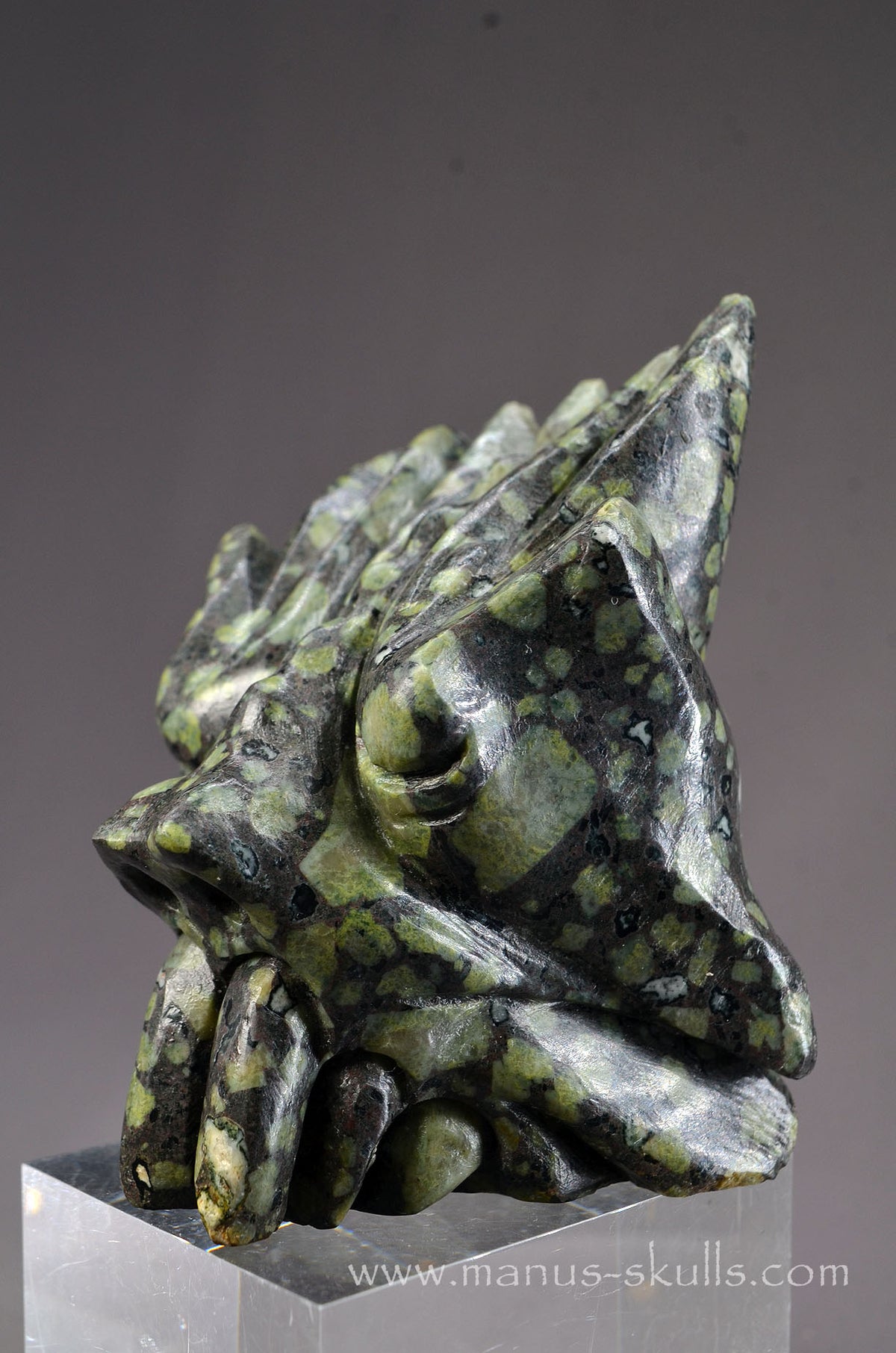 Lakelandite Dragon