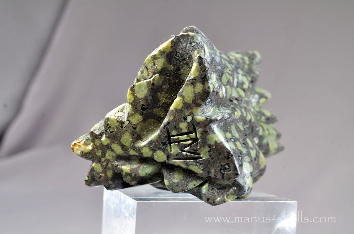 Lakelandite Dragon