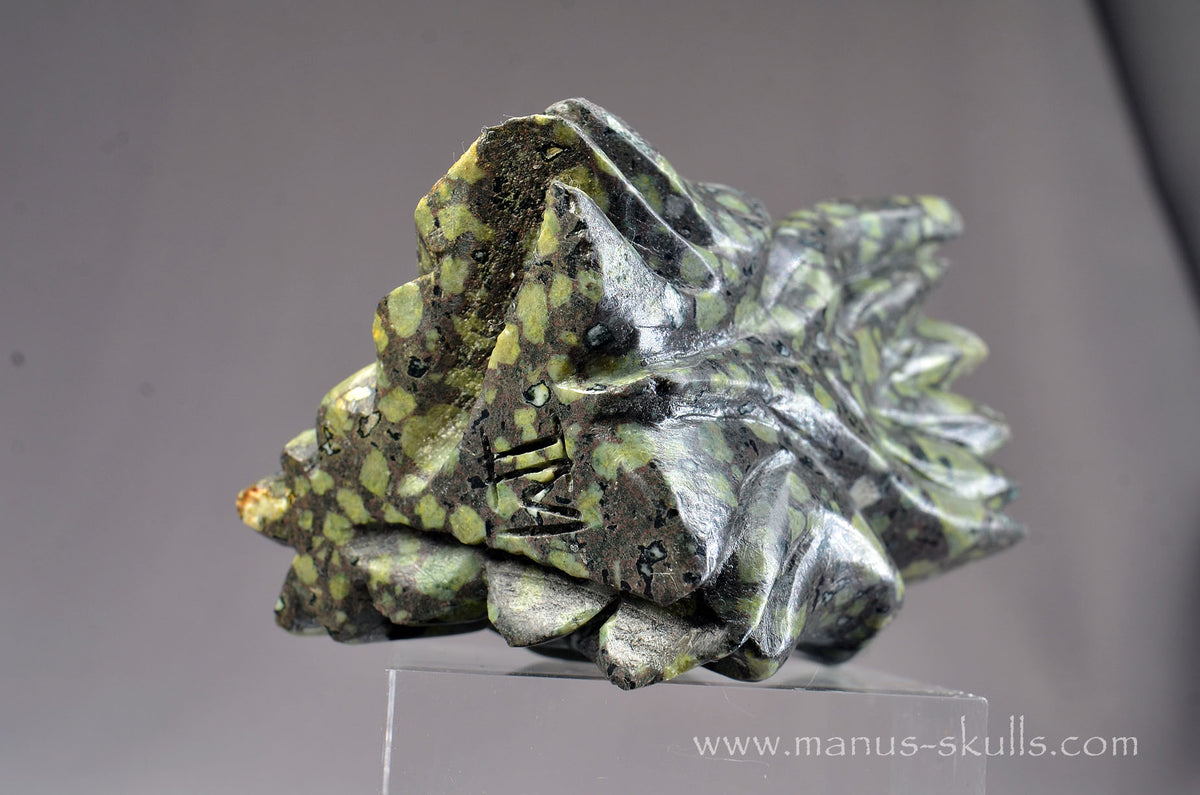 Lakelandite Dragon