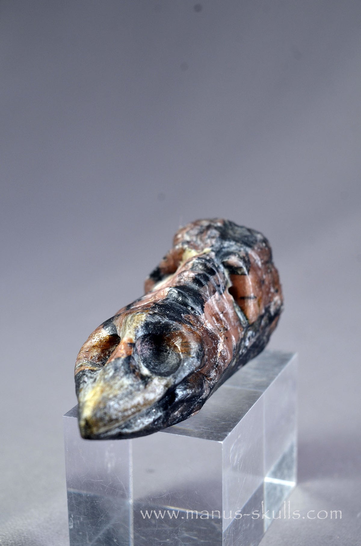 Chiastolite Dragon Bird