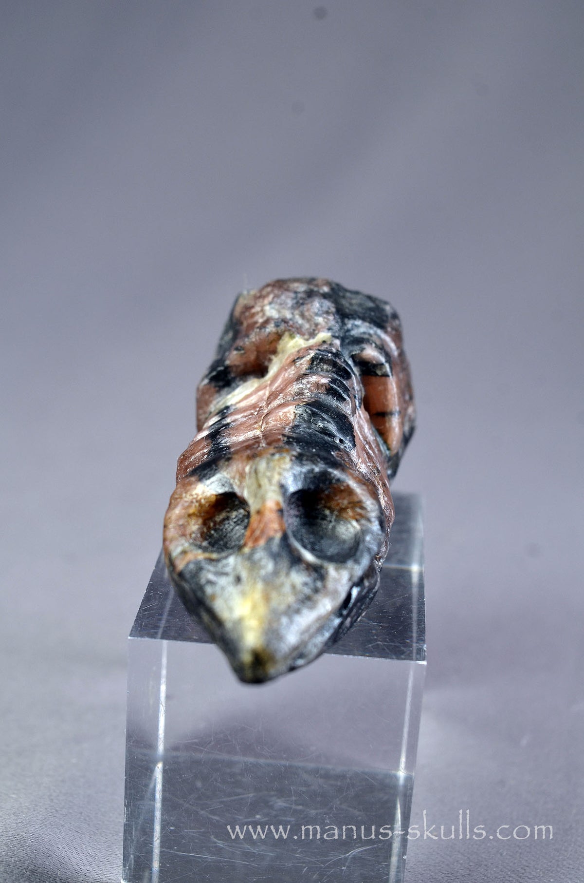 Chiastolite Dragon Bird