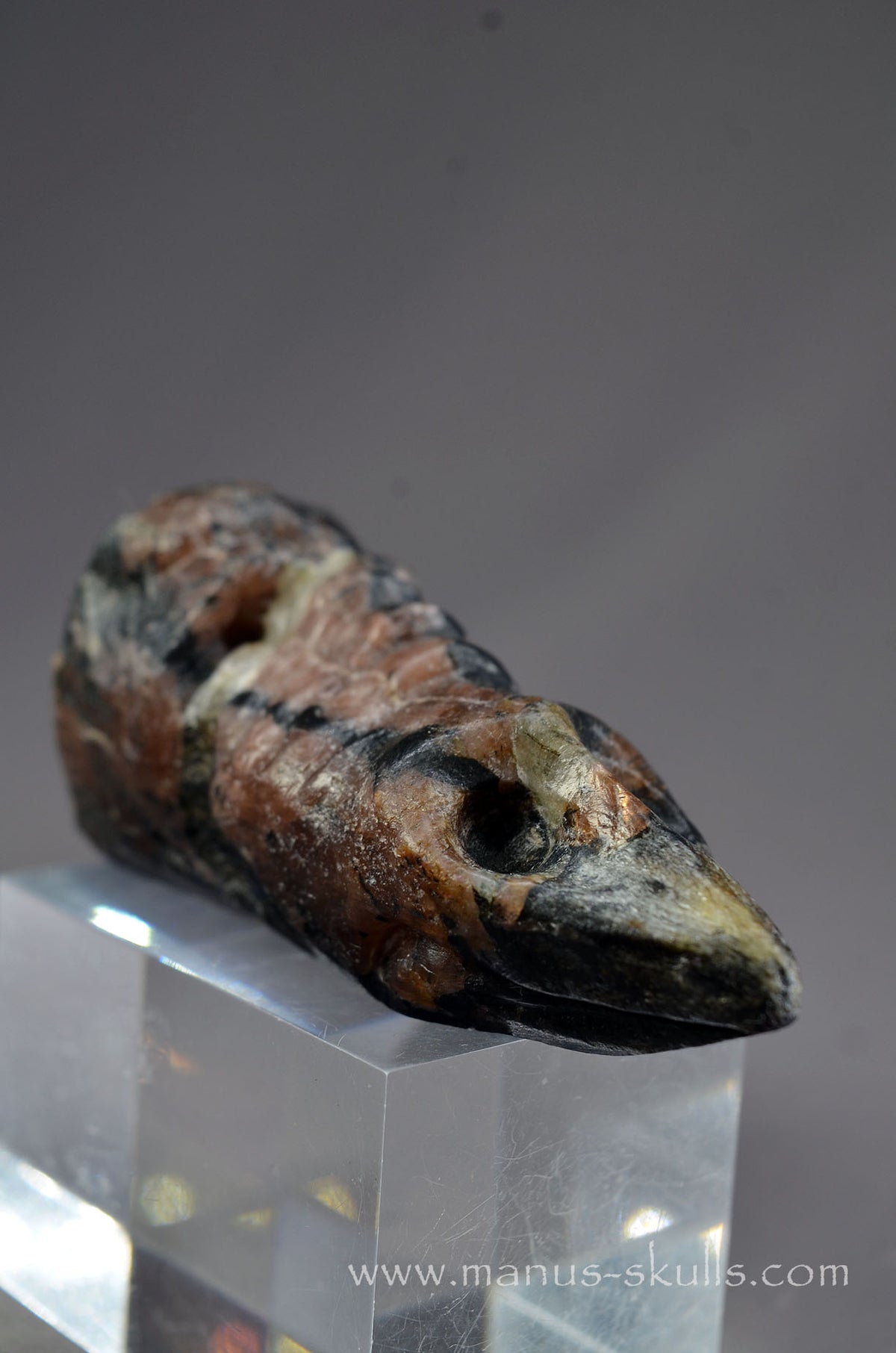 Chiastolite Dragon Bird
