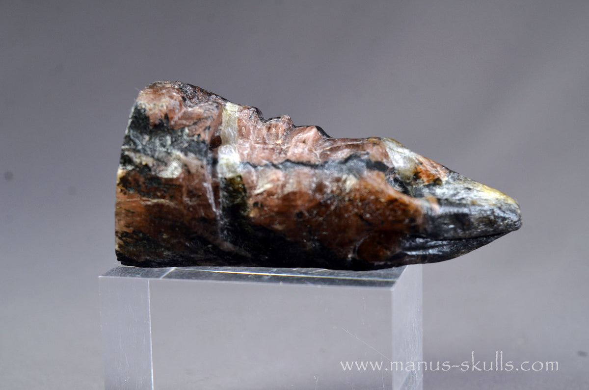 Chiastolite Dragon Bird