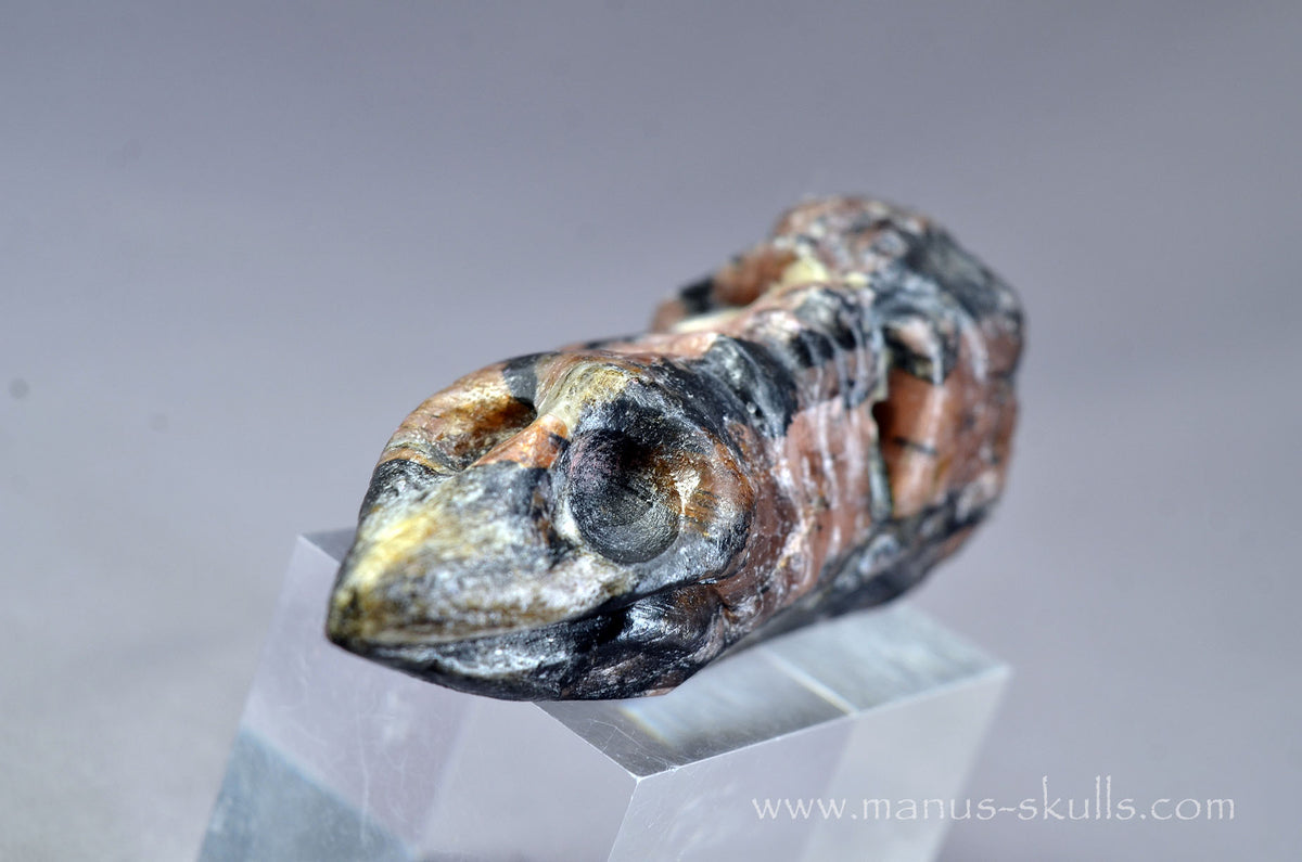 Chiastolite Dragon Bird