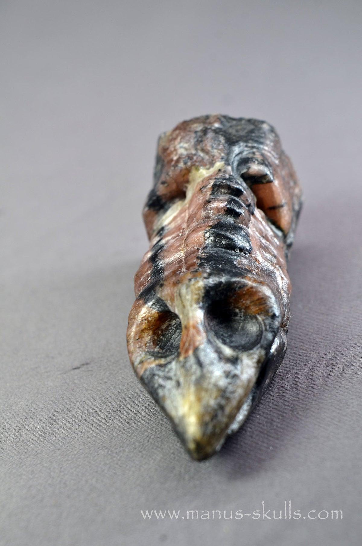 Chiastolite Dragon Bird