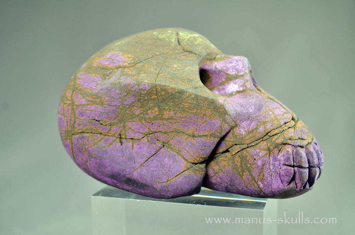 Purpurite Skull