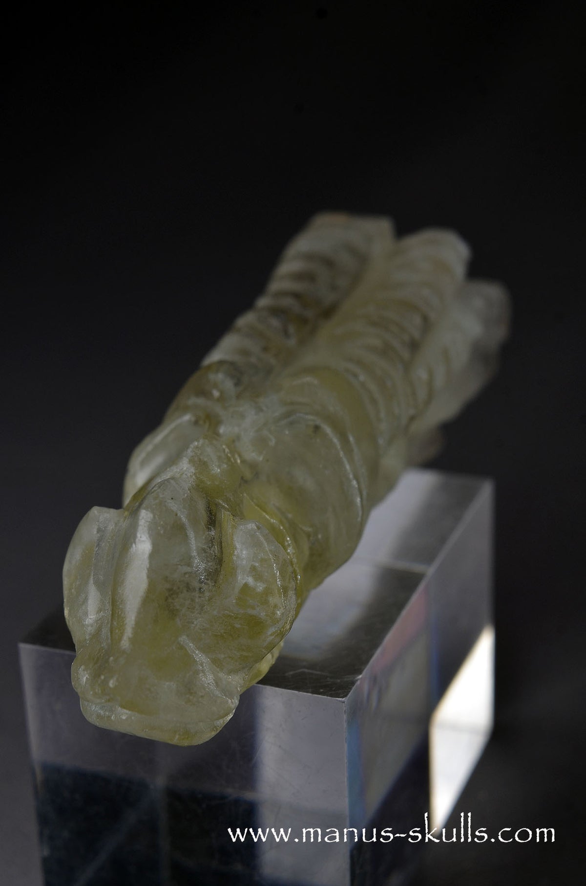 Citrine Dragon