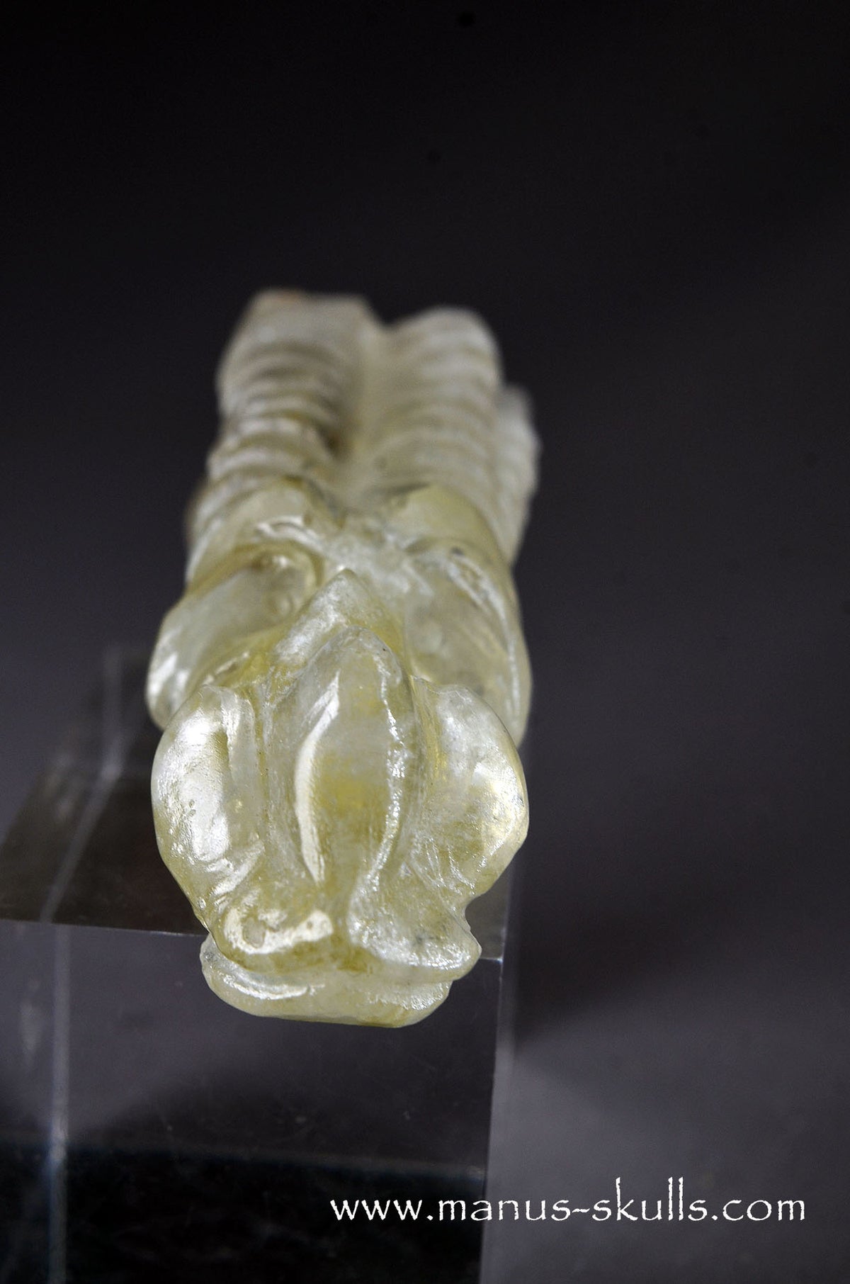Citrine Dragon