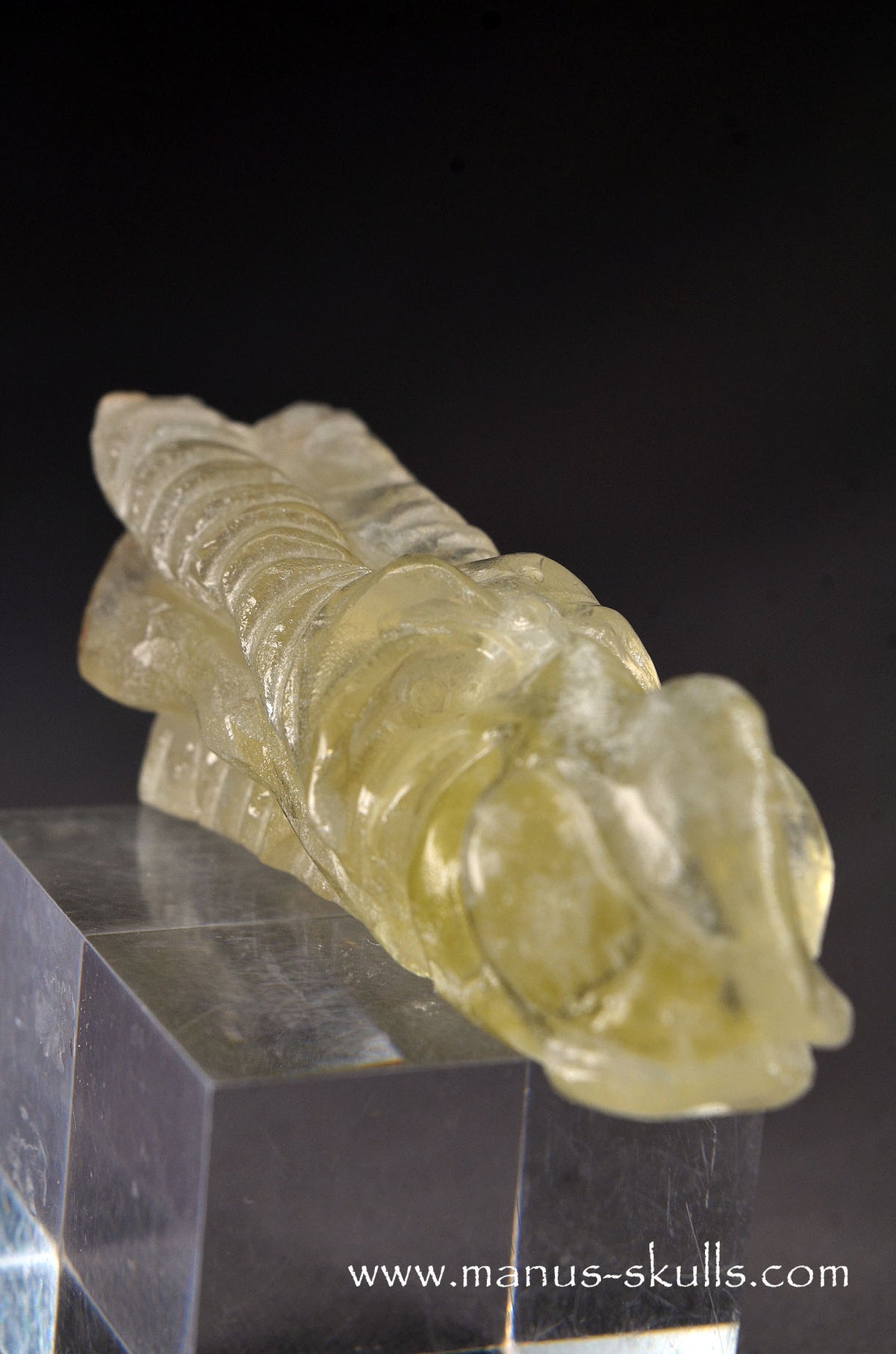 Citrine Dragon