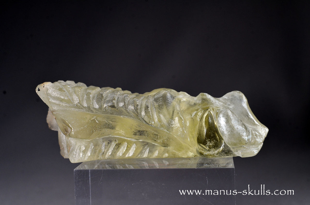 Citrine Dragon