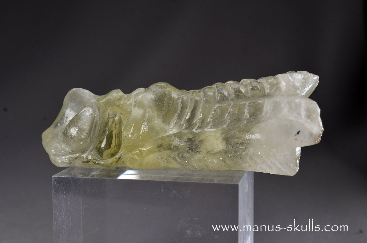 Citrine Dragon