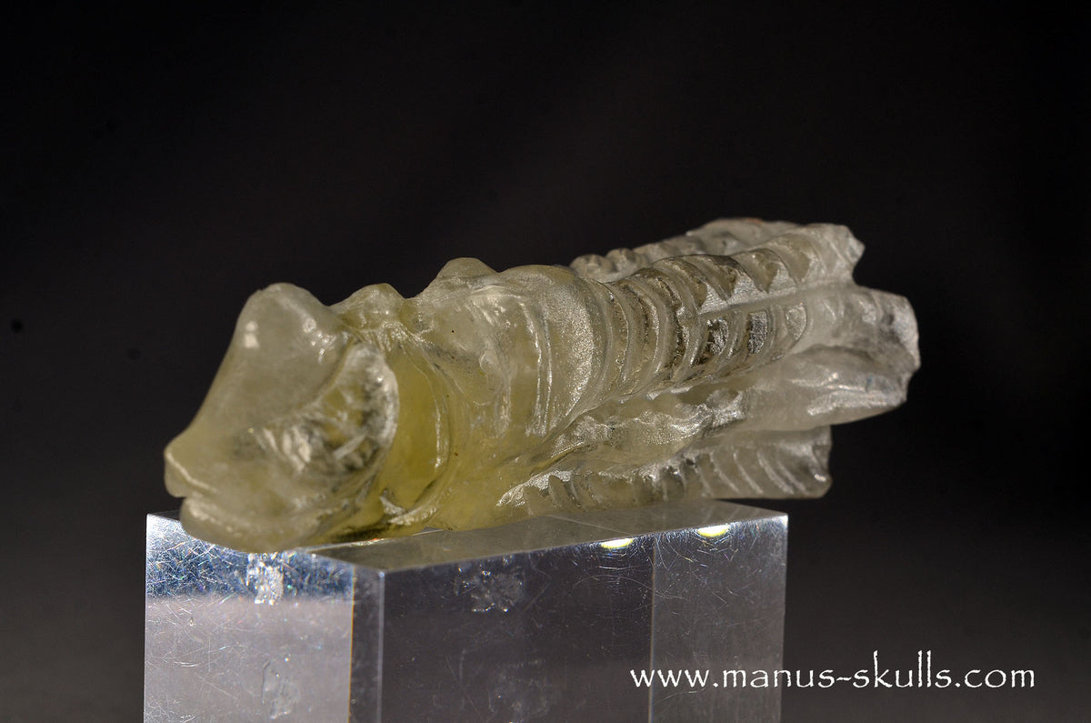 Citrine Dragon