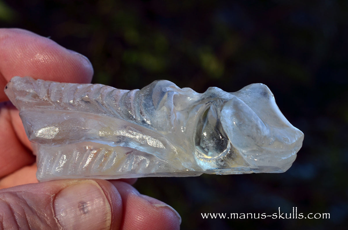 Citrine Dragon