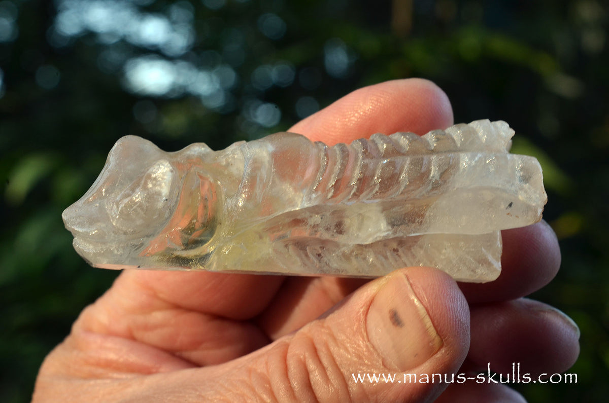 Citrine Dragon