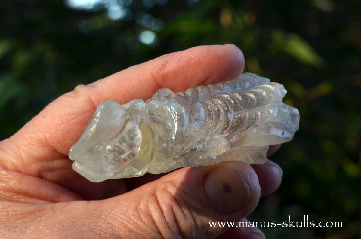 Citrine Dragon