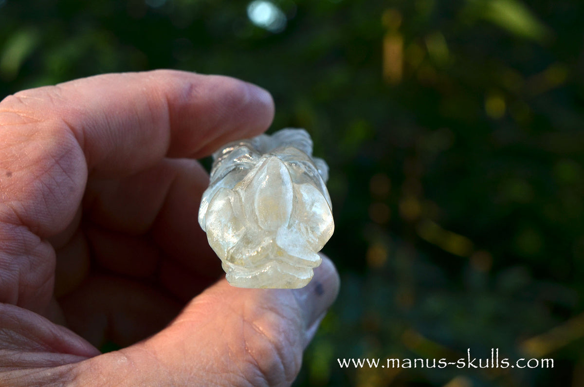 Citrine Dragon