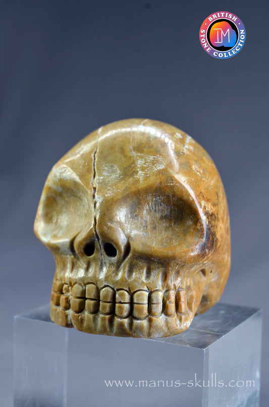 Sarsen Stone Skull