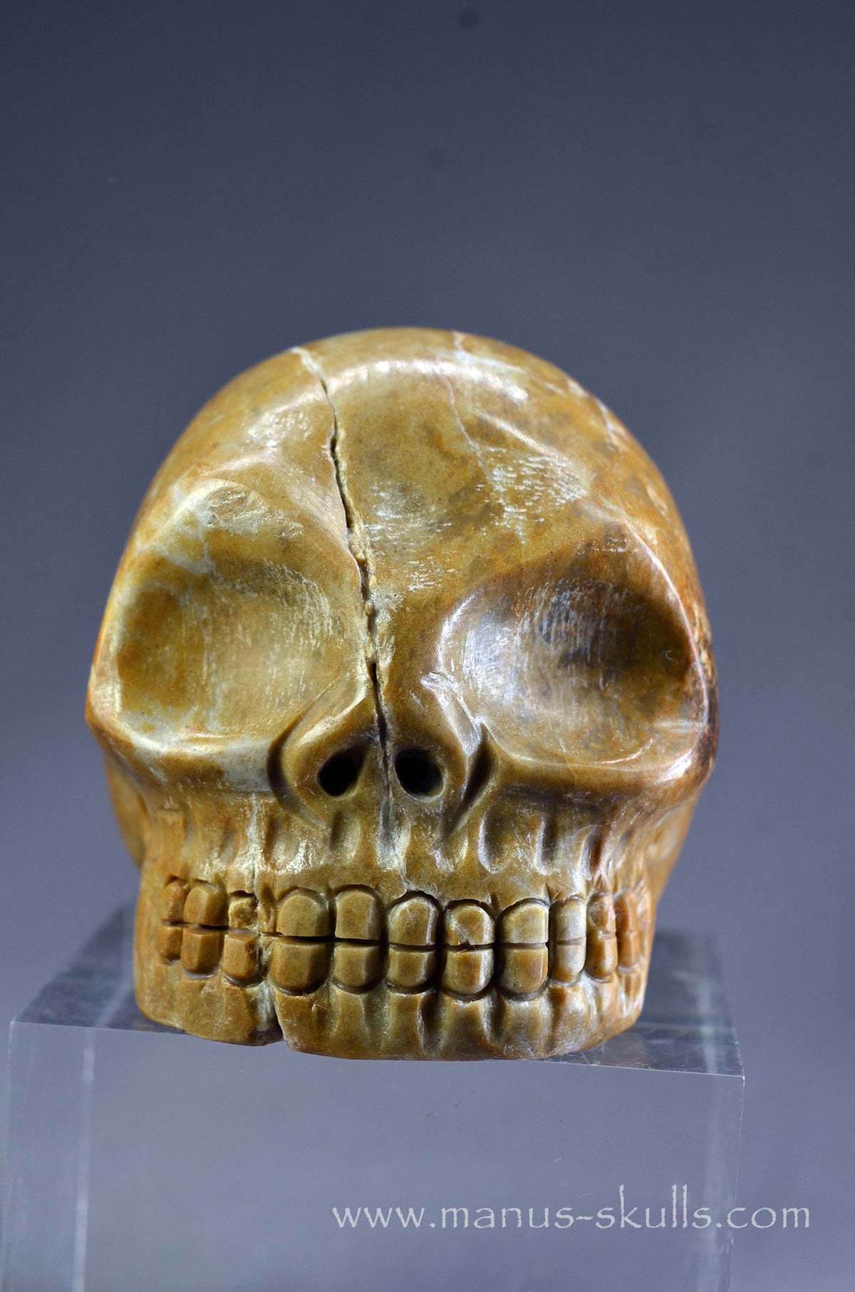 Sarsen Stone Skull