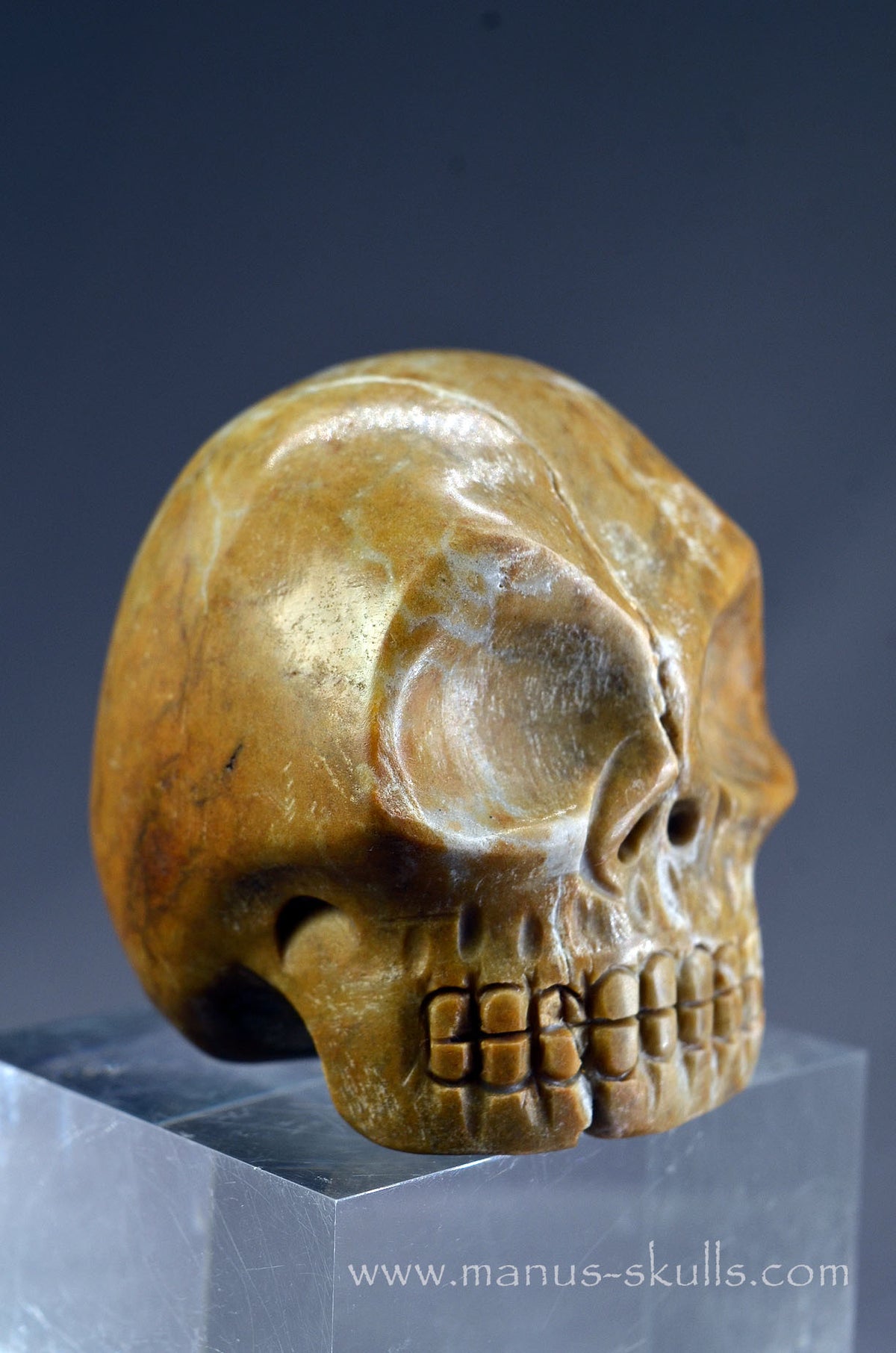 Sarsen Stone Skull