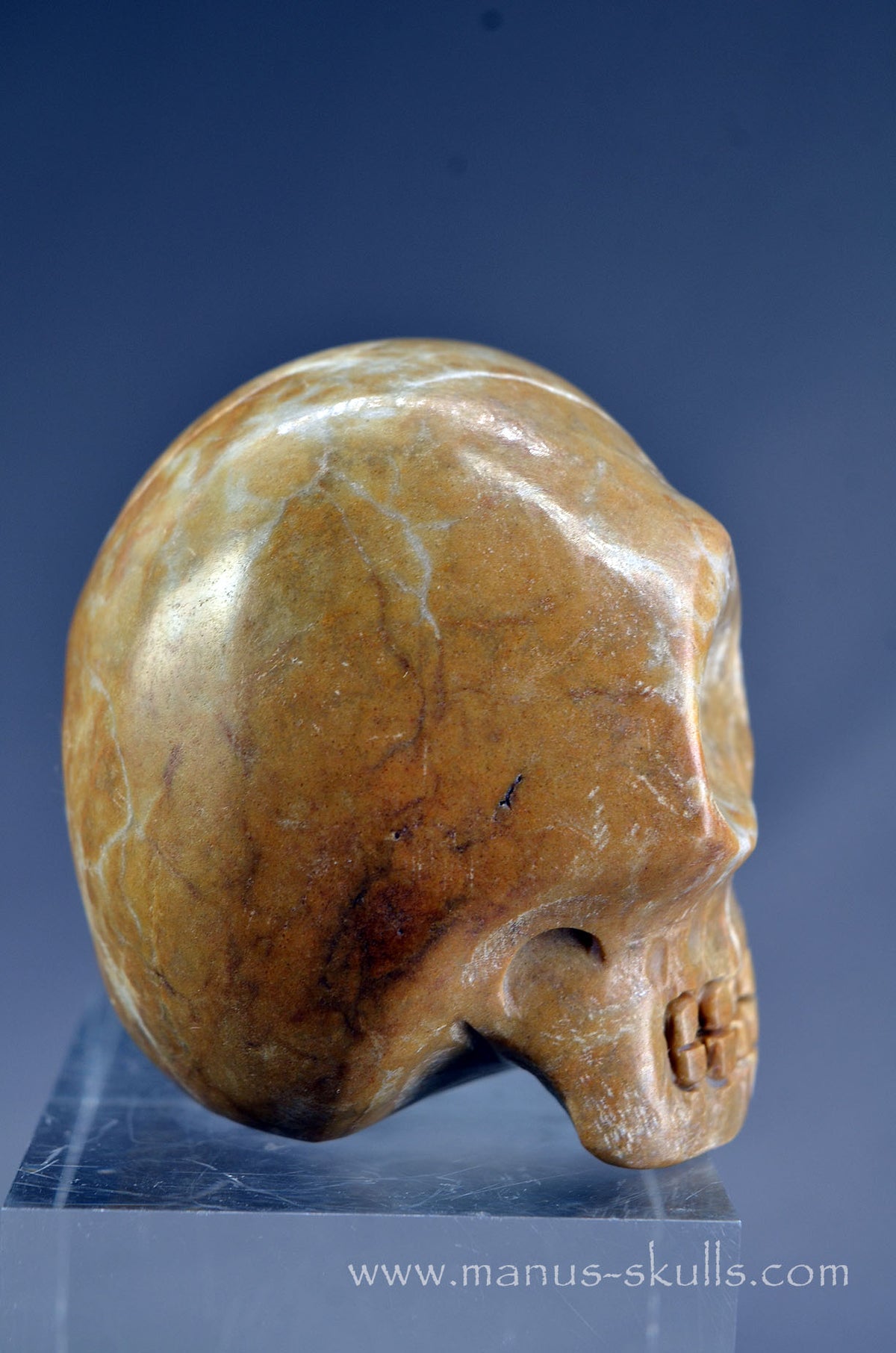 Sarsen Stone Skull