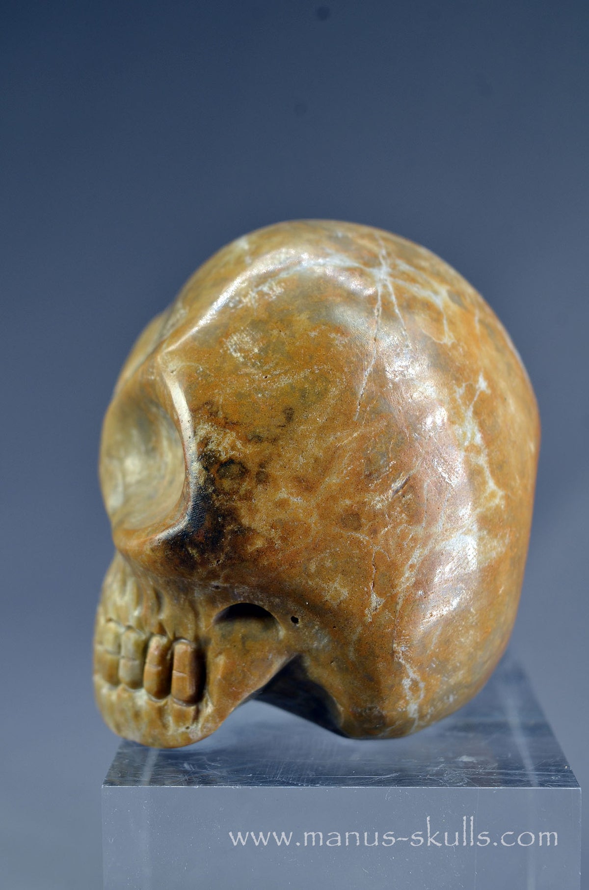 Sarsen Stone Skull