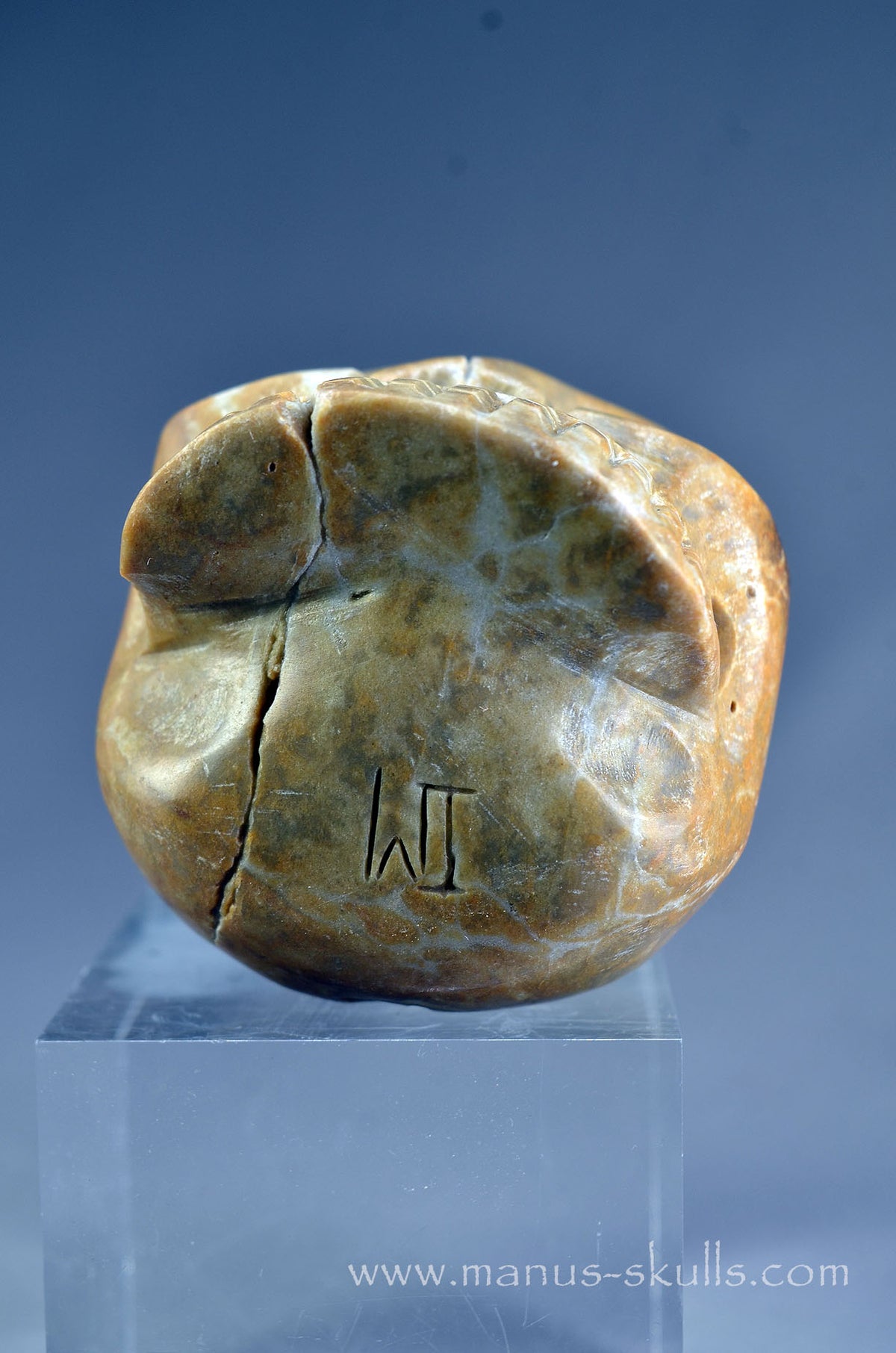 Sarsen Stone Skull
