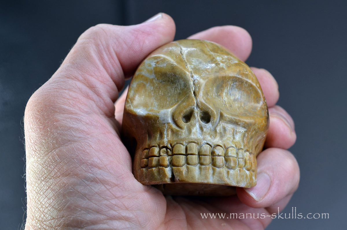 Sarsen Stone Skull