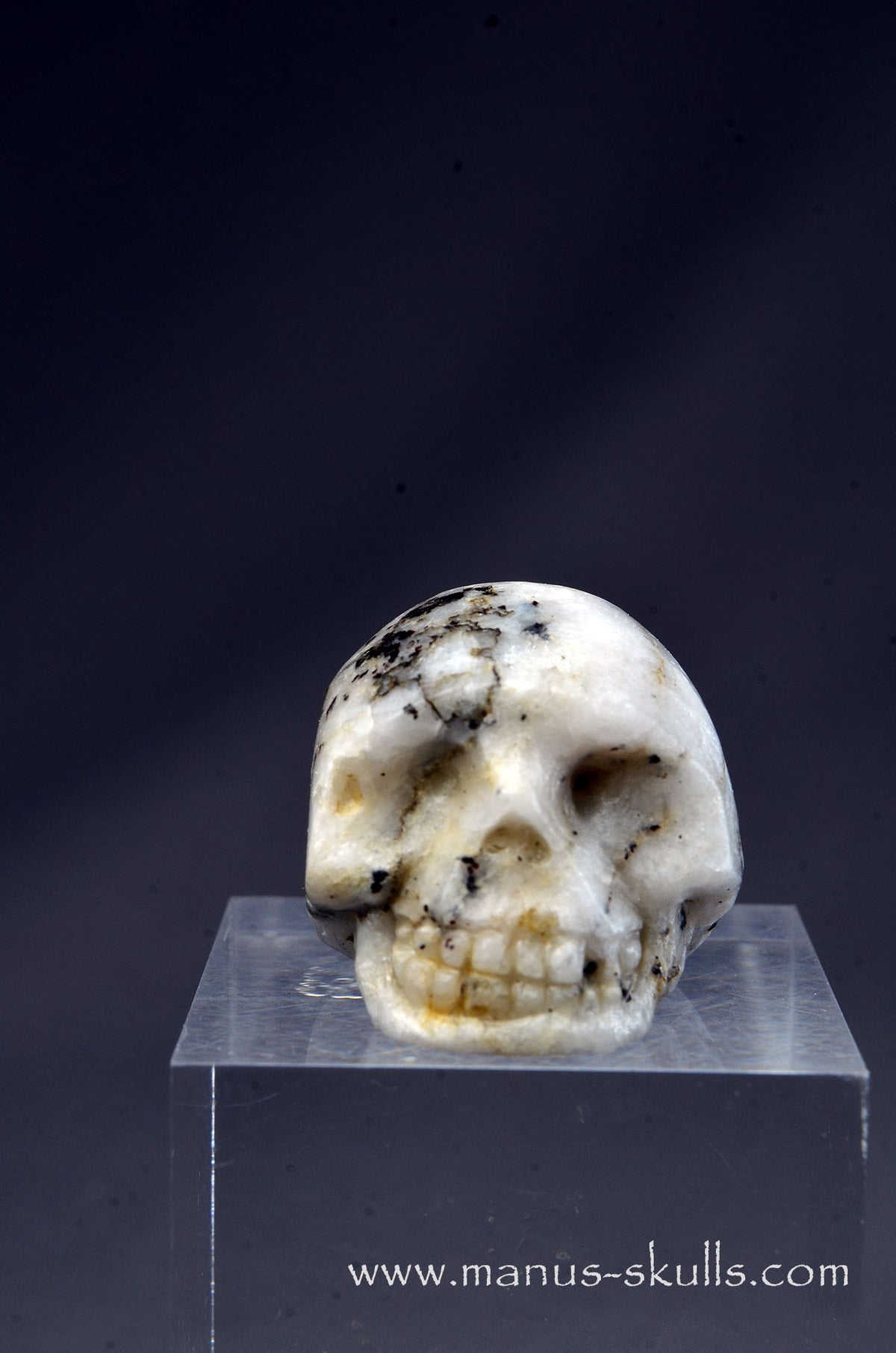 Rare TUGTUPITE Miniature Skully