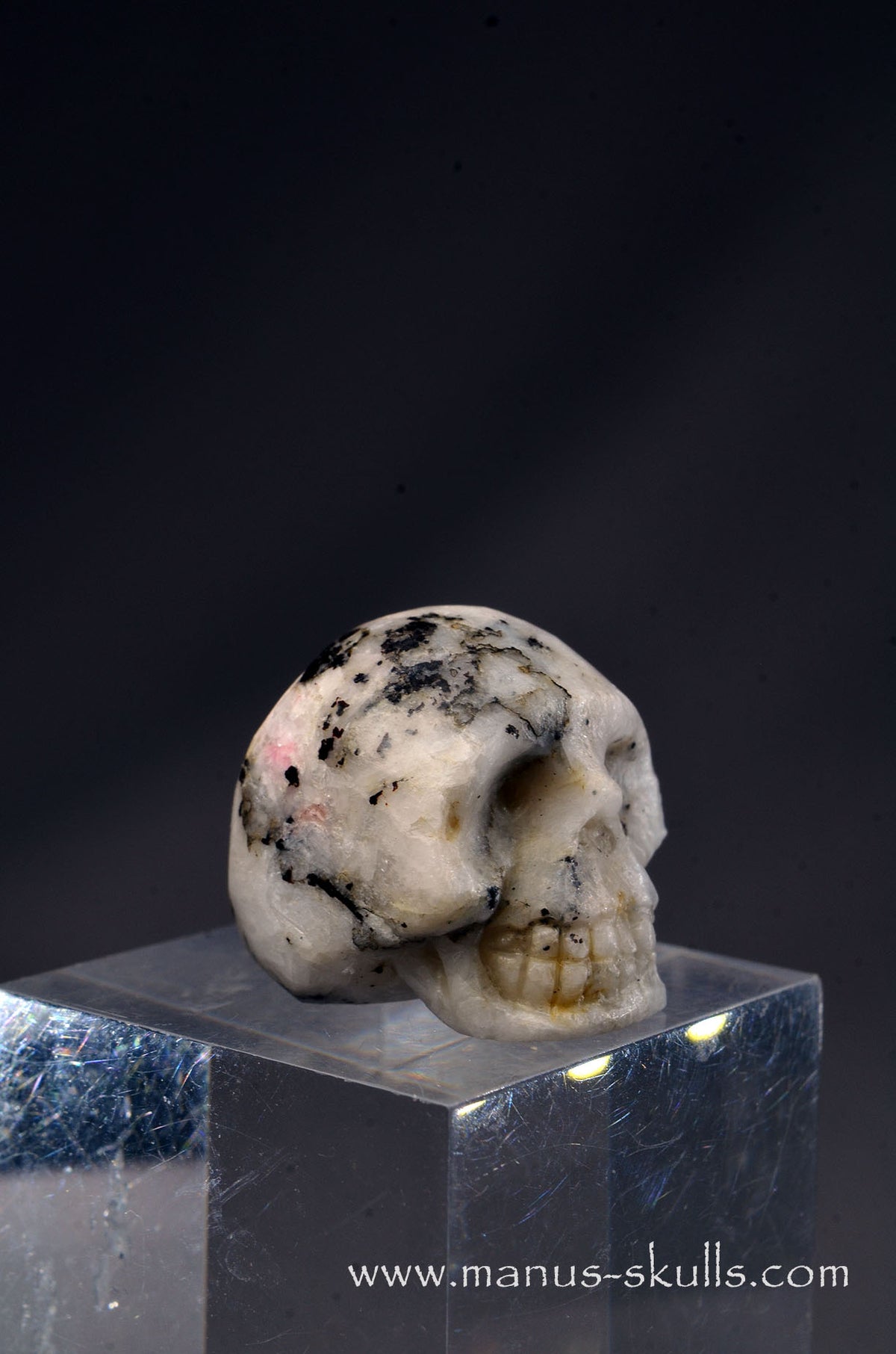 Rare TUGTUPITE Miniature Skully