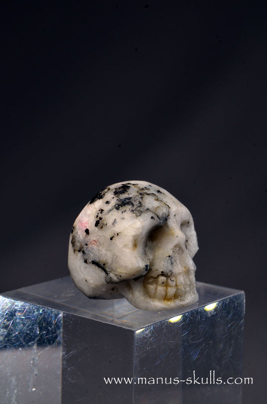Rare TUGTUPITE Miniature Skully