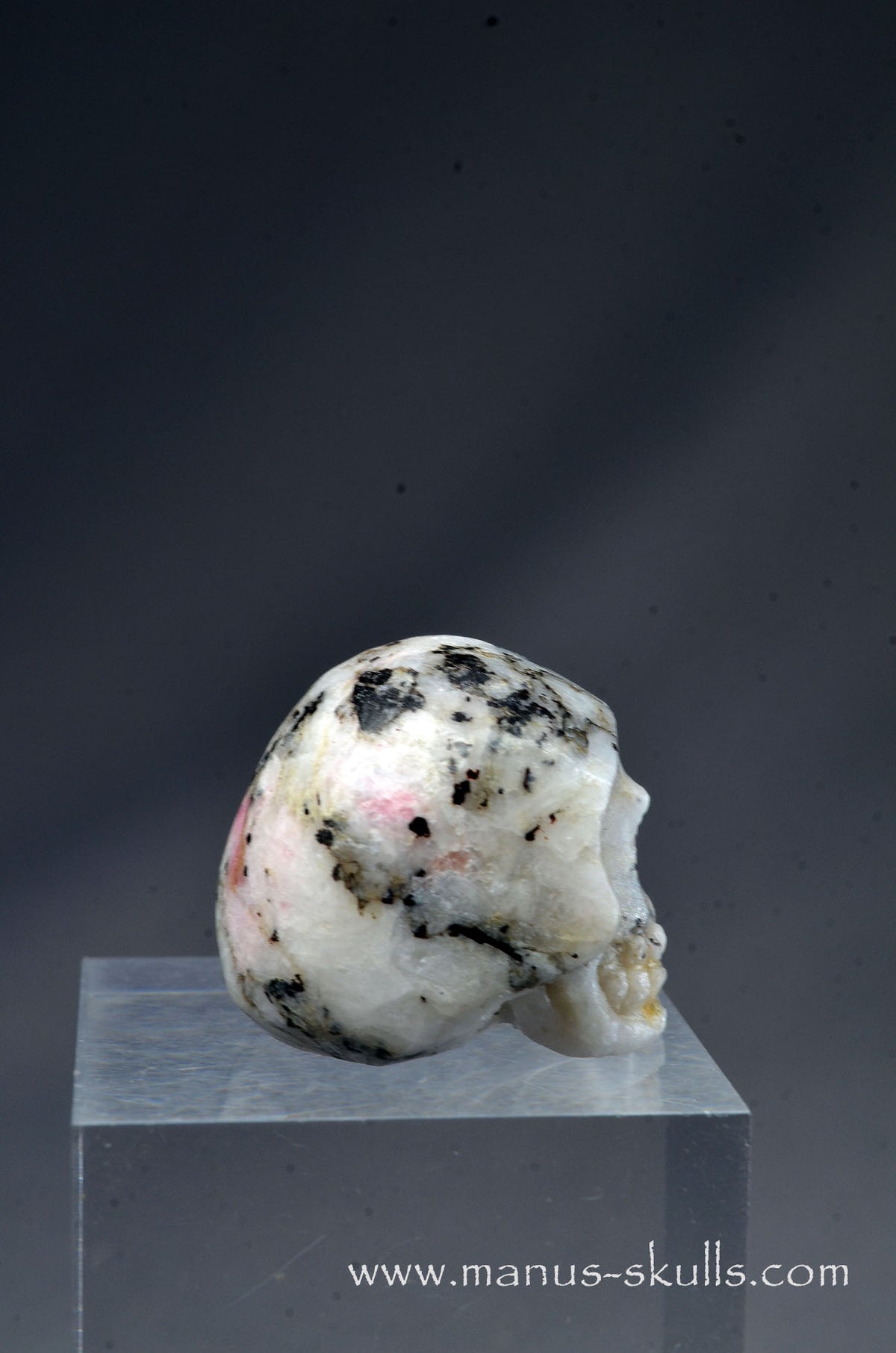 Rare TUGTUPITE Miniature Skully