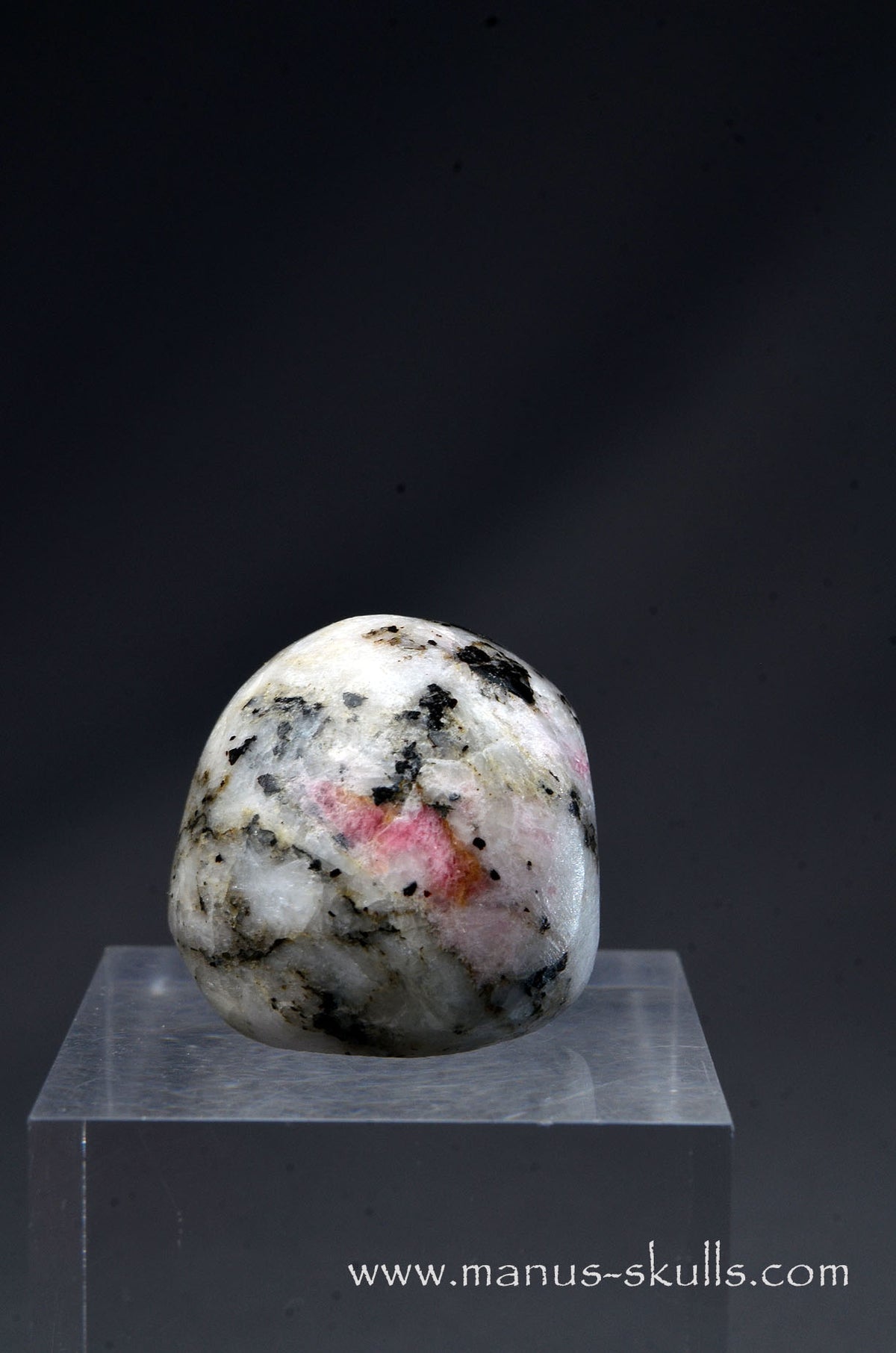 Rare TUGTUPITE Miniature Skully
