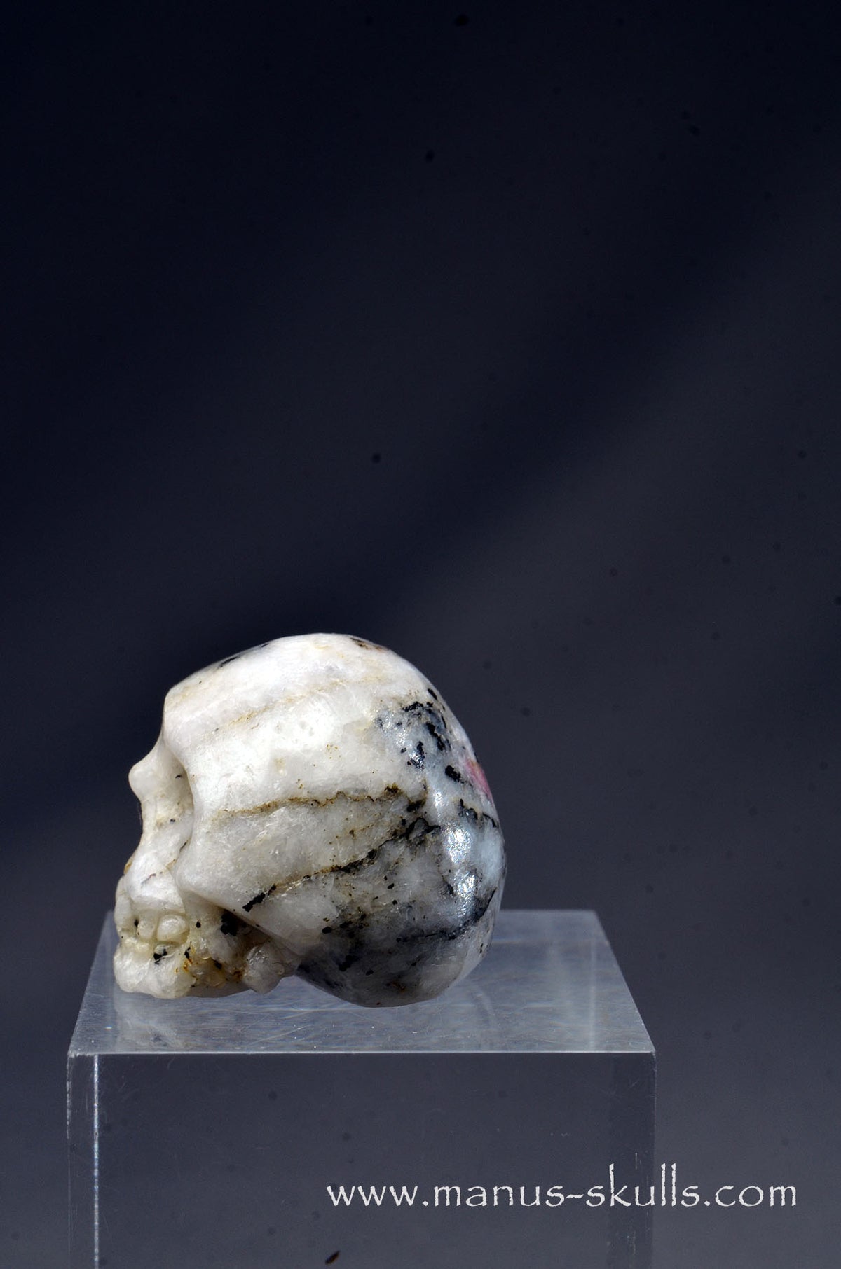 Rare TUGTUPITE Miniature Skully