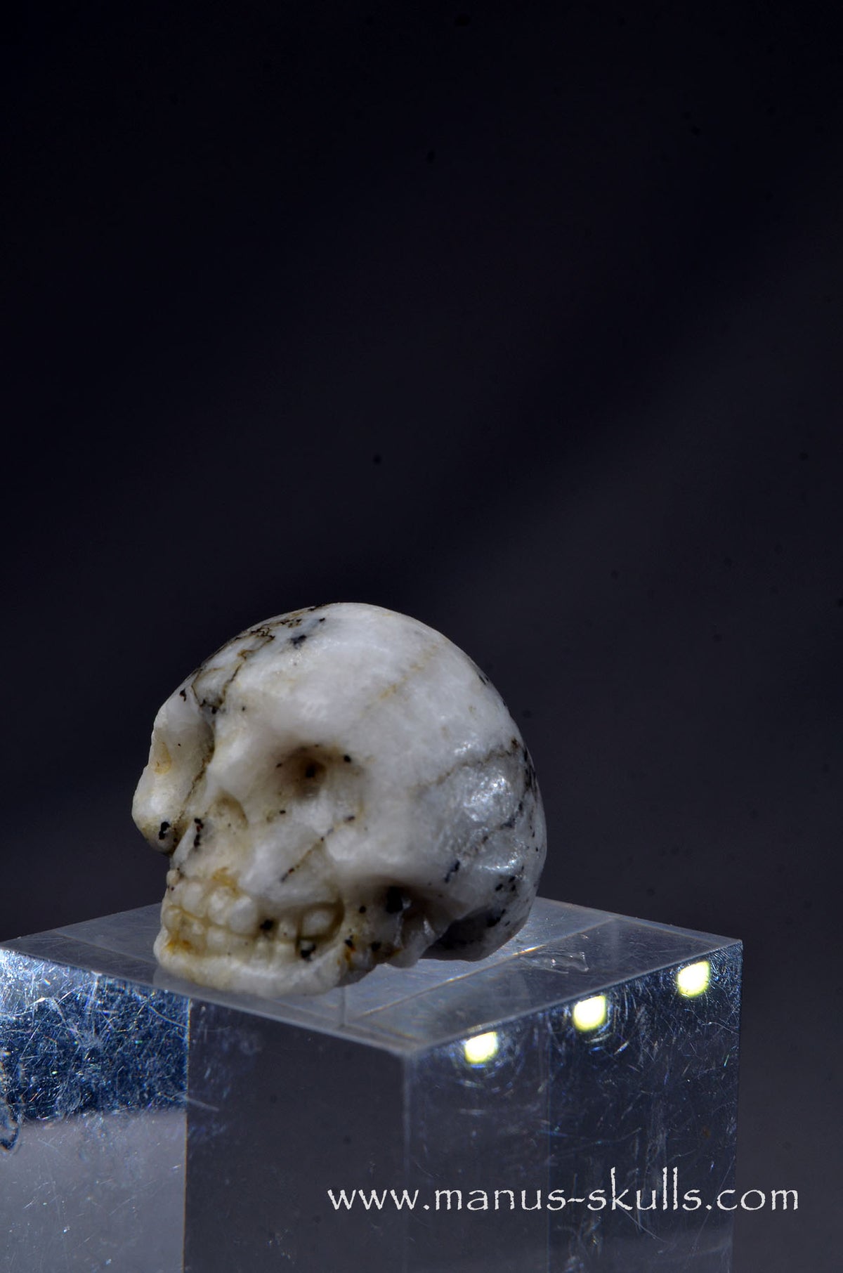 Rare TUGTUPITE Miniature Skully