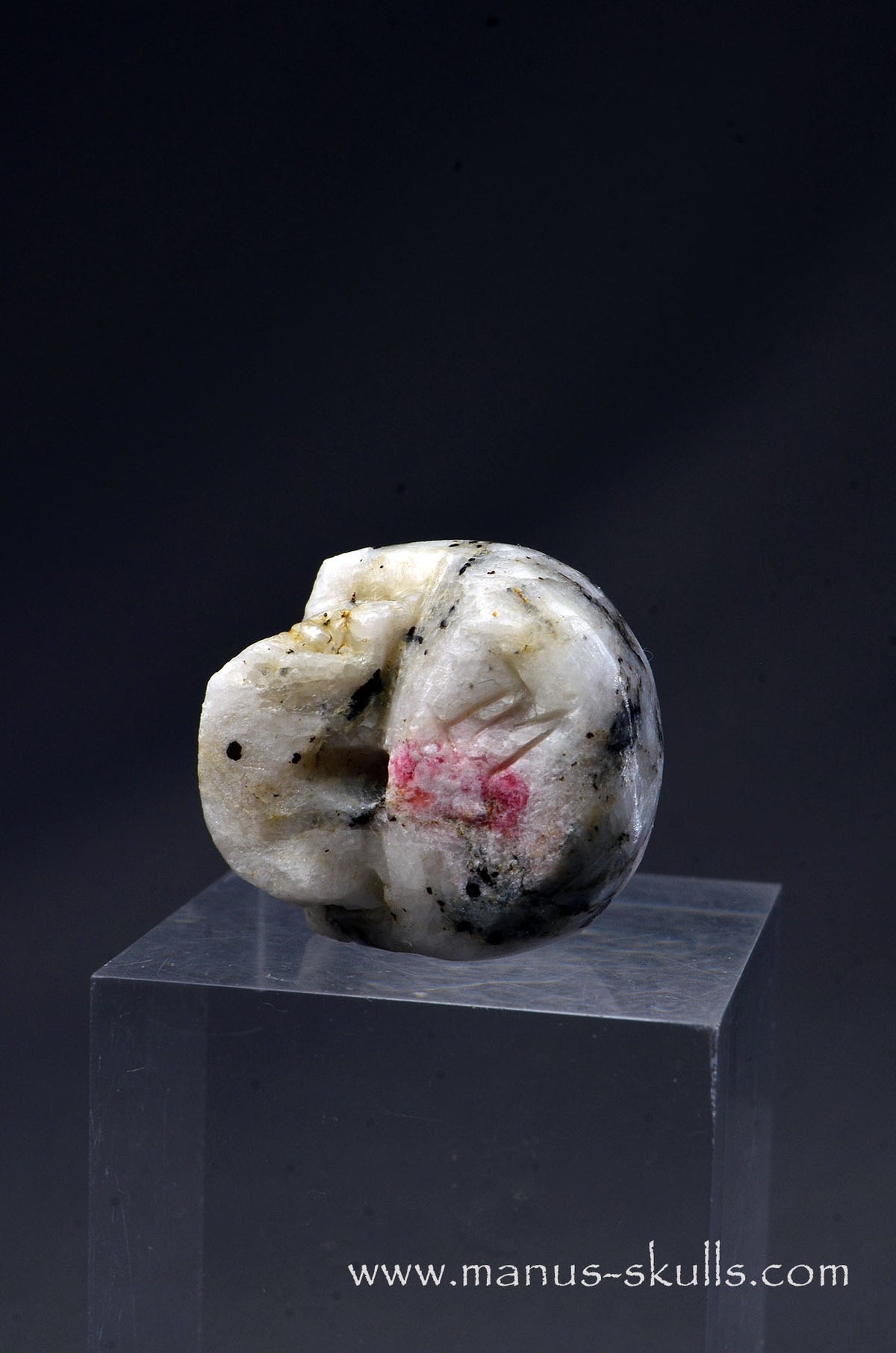 Rare TUGTUPITE Miniature Skully